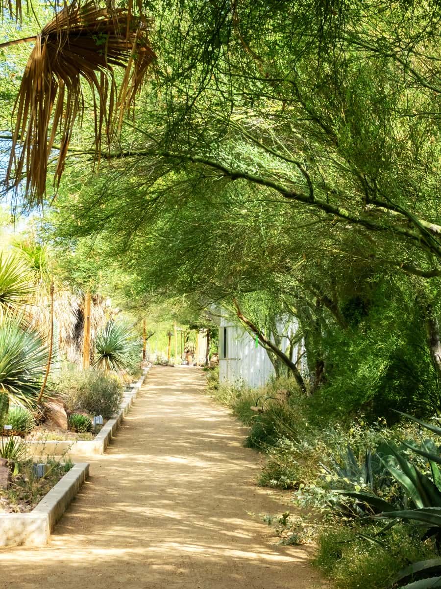 Springs Preserve, Las Vegas Springs Preserve, Las Vegas
