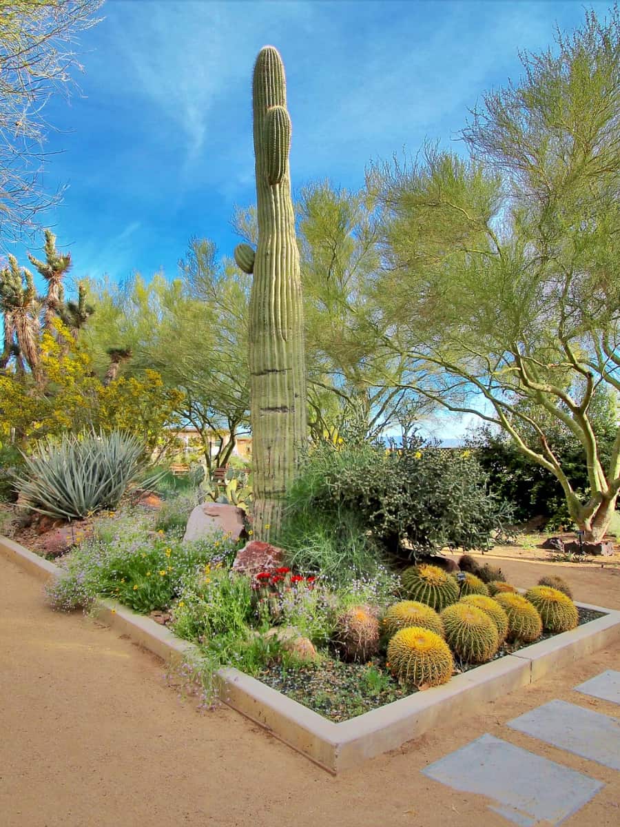 Springs Preserve, Las Vegas Springs Preserve, Las Vegas