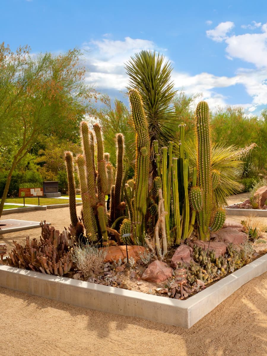 Springs Preserve, Las Vegas Springs Preserve, Las Vegas