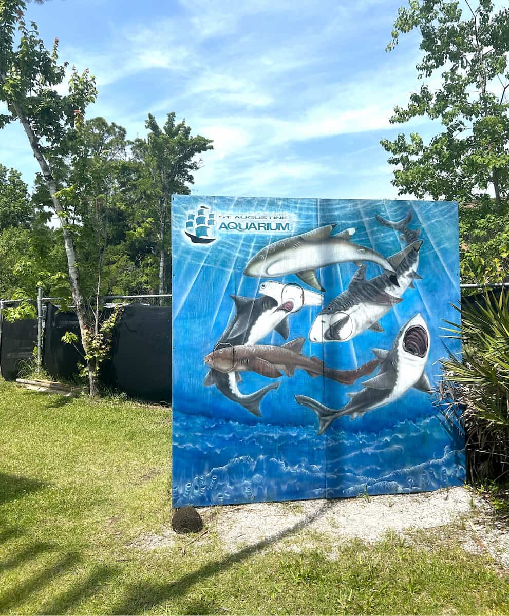 St Augustine Aquarium St Augustine Aquarium