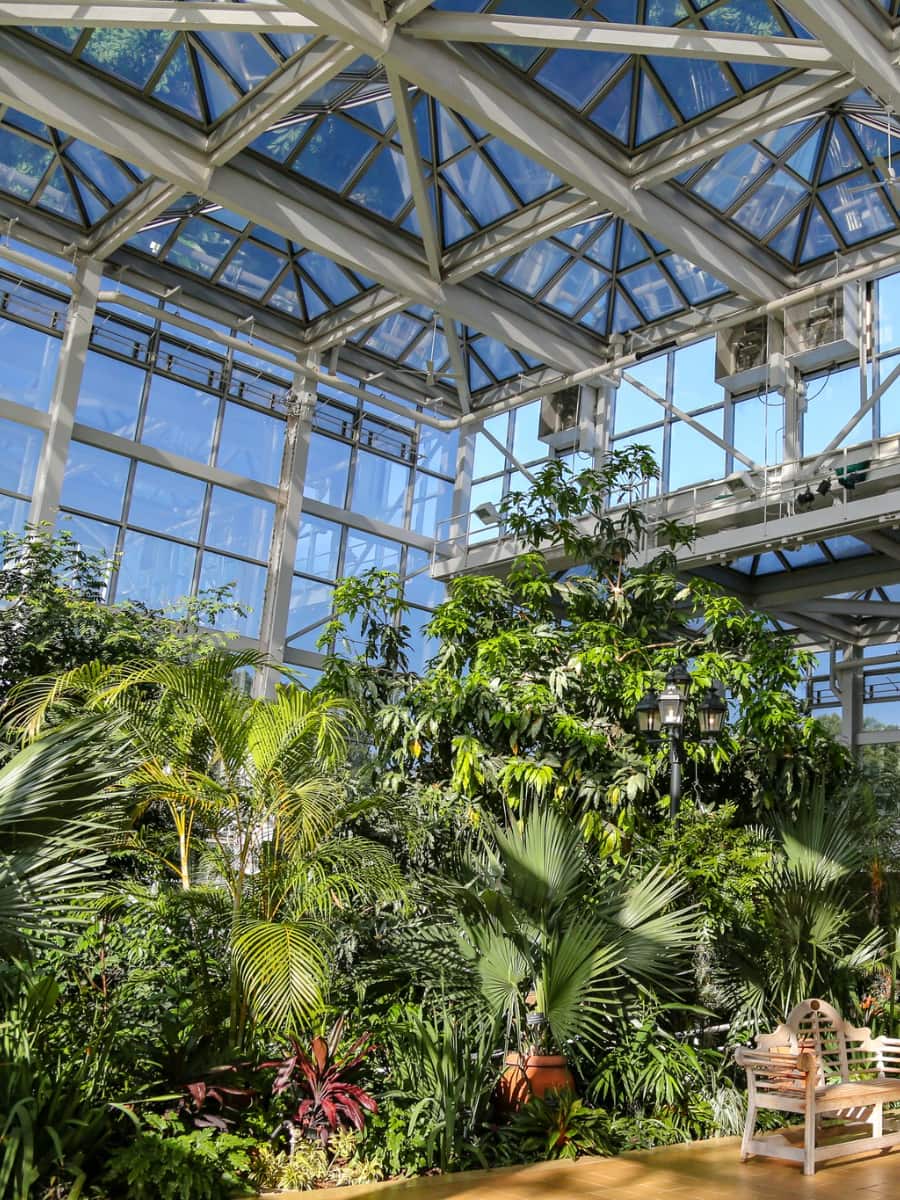 State Botanical Garden of Georgia, Georgia, US State Botanical Garden of Georgia, Georgia, US