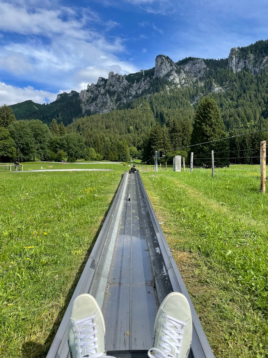 Summer Toboggan Run, Füssen