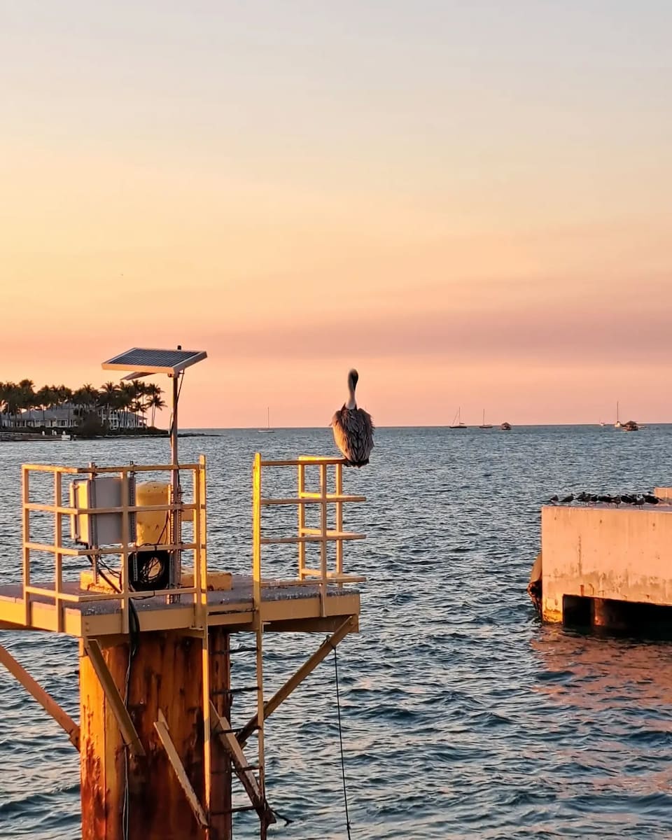 Sunset at Mallory Square, Key West Sunset at Mallory Square, Key West