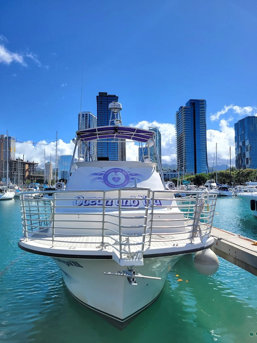Swim with Sea Turtles, Oahu, Hawaii Swim with Sea Turtles, Oahu, Hawaii