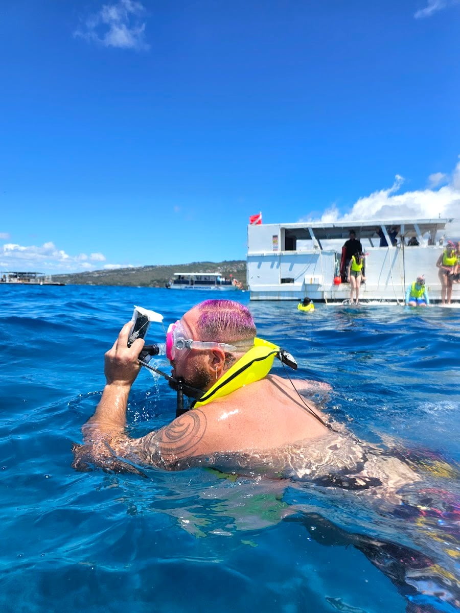 Swim with Sea Turtles, Oahu, Hawaii Swim with Sea Turtles, Oahu, Hawaii