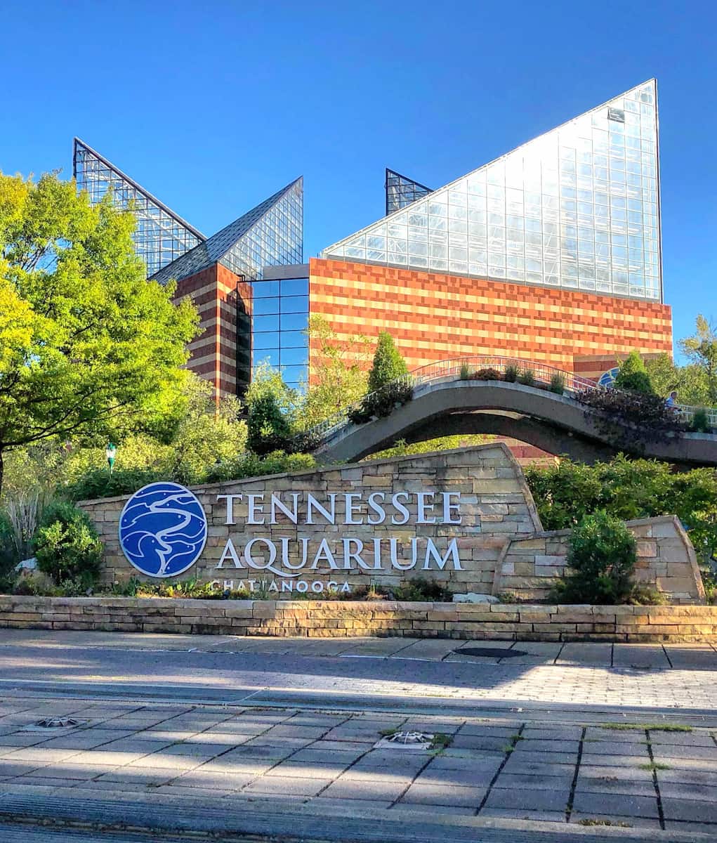 Tennessee Aquarium, Chattanooga Tennessee Aquarium, Chattanooga