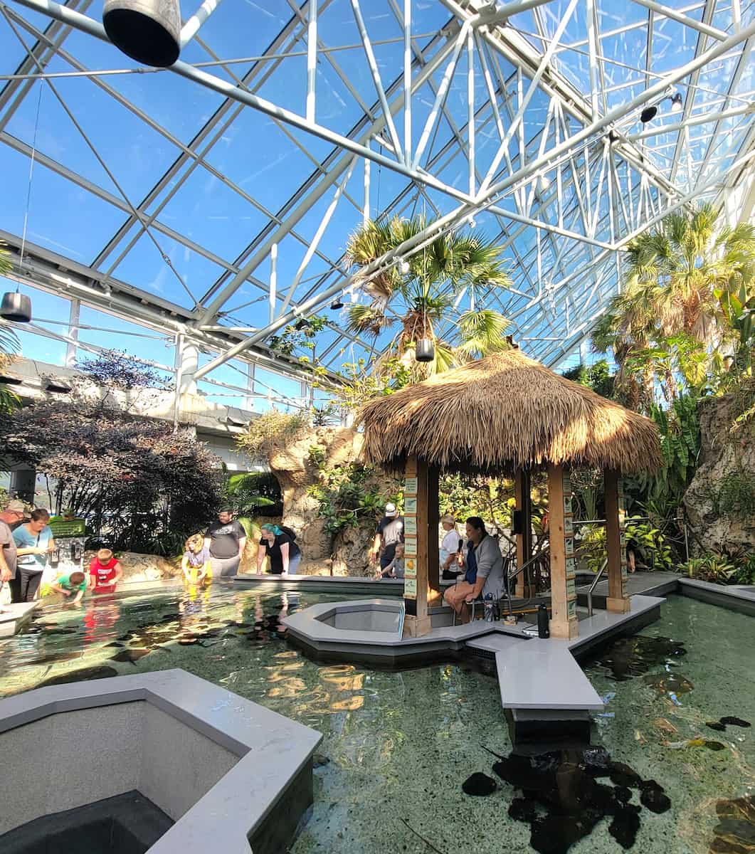 Tennessee Aquarium, Chattanooga Tennessee Aquarium, Chattanooga