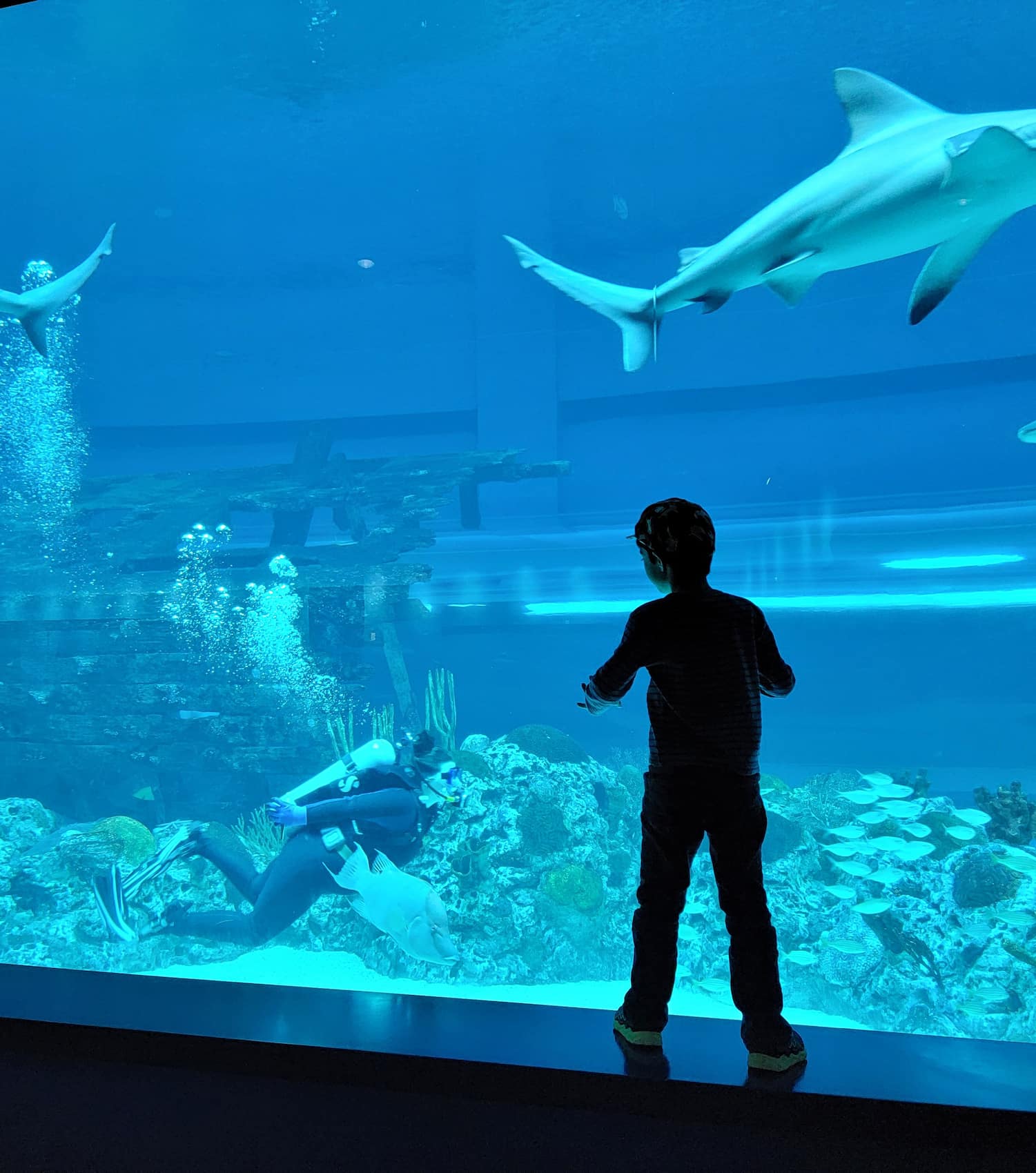 Texas State Aquarium, Corpus Christi Texas State Aquarium, Corpus Christi