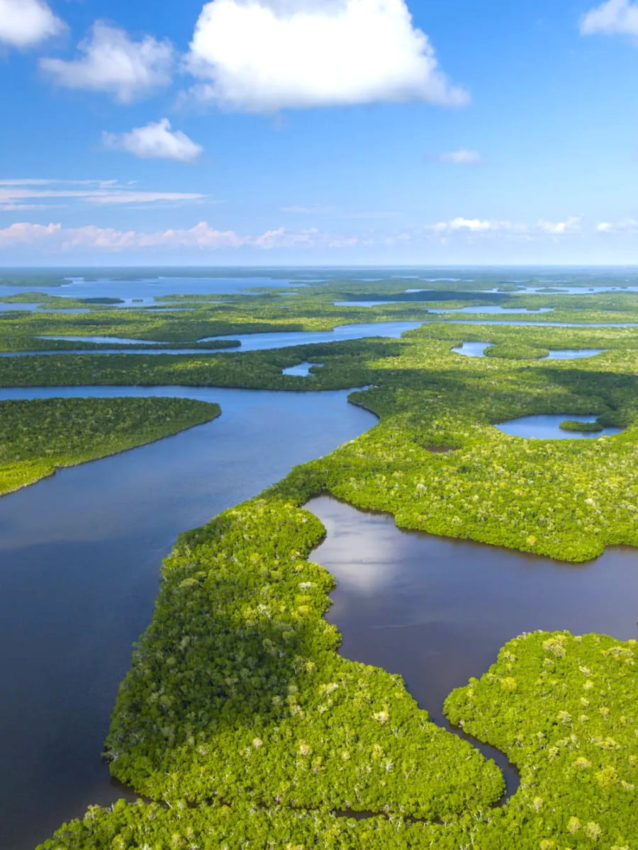 The Everglades, Florida The Everglades, Florida