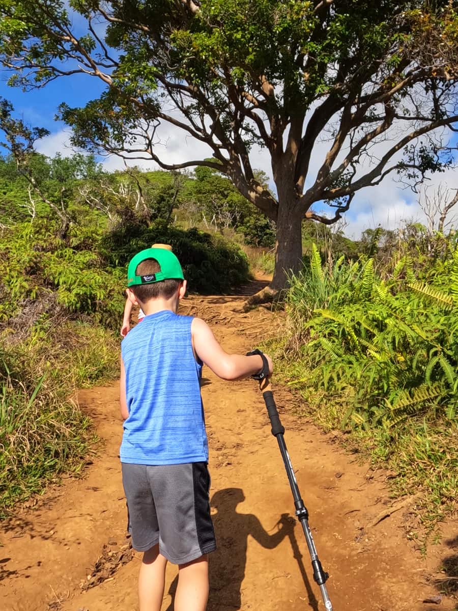 The Waihee Ridge Trail, Maui The Waihee Ridge Trail, Maui