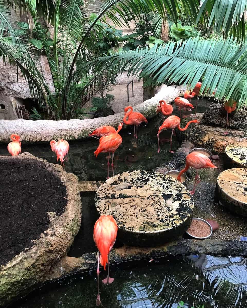 The Dallas World Aquarium, TX The Dallas World Aquarium, TX