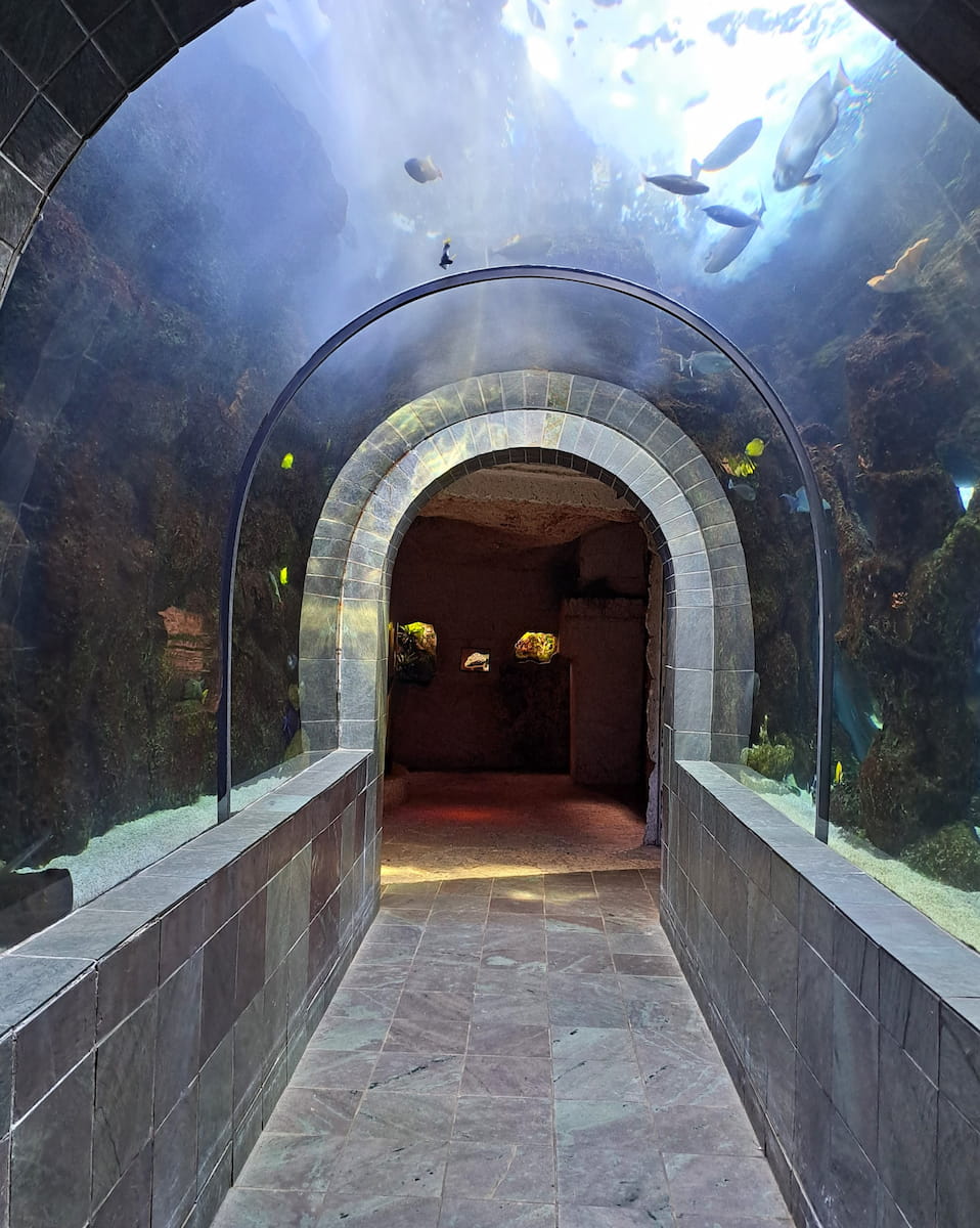The Dallas World Aquarium, TX The Dallas World Aquarium, TX