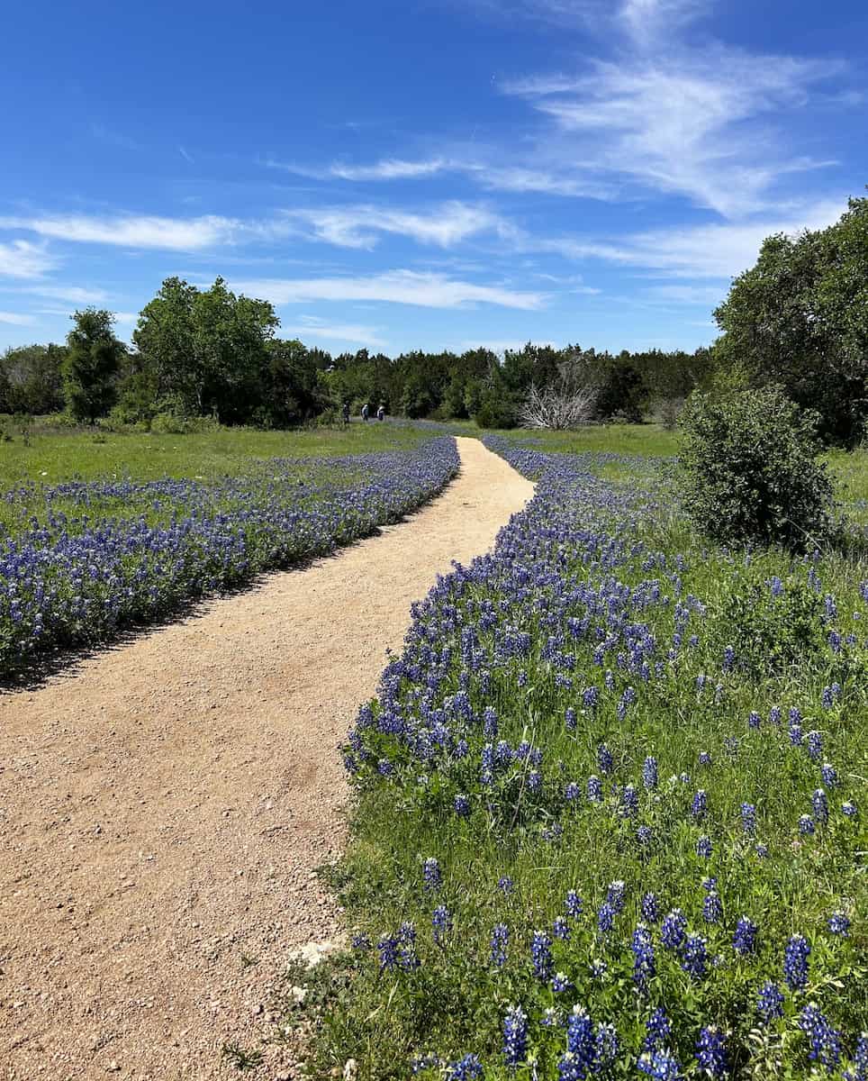 The Lady Bird Johnson Wildflower Center, TX The Lady Bird Johnson Wildflower Center, TX