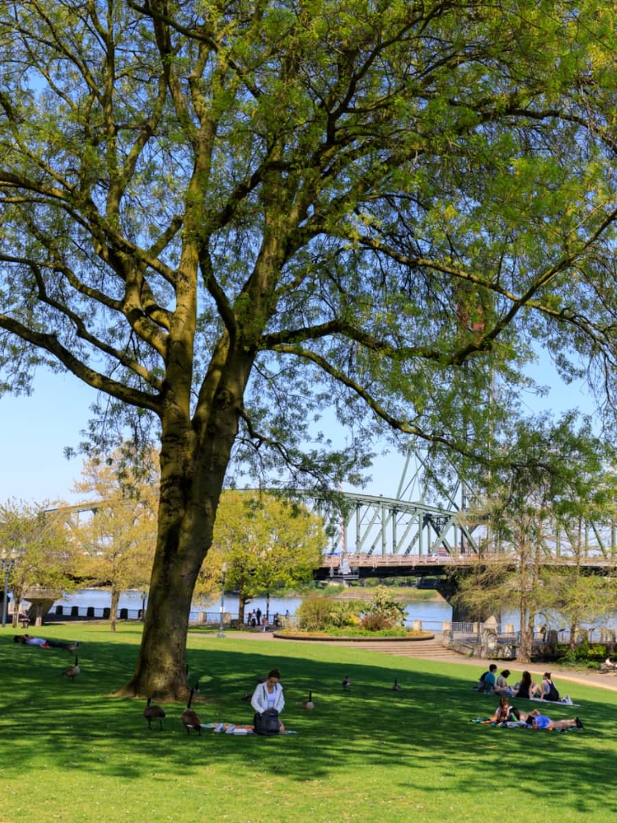 Tom McCall Waterfront Park, Portland Tom McCall Waterfront Park, Portland