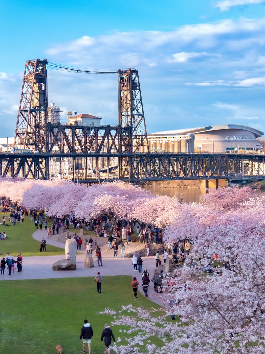Tom McCall Waterfront Park, Portland Tom McCall Waterfront Park, Portland