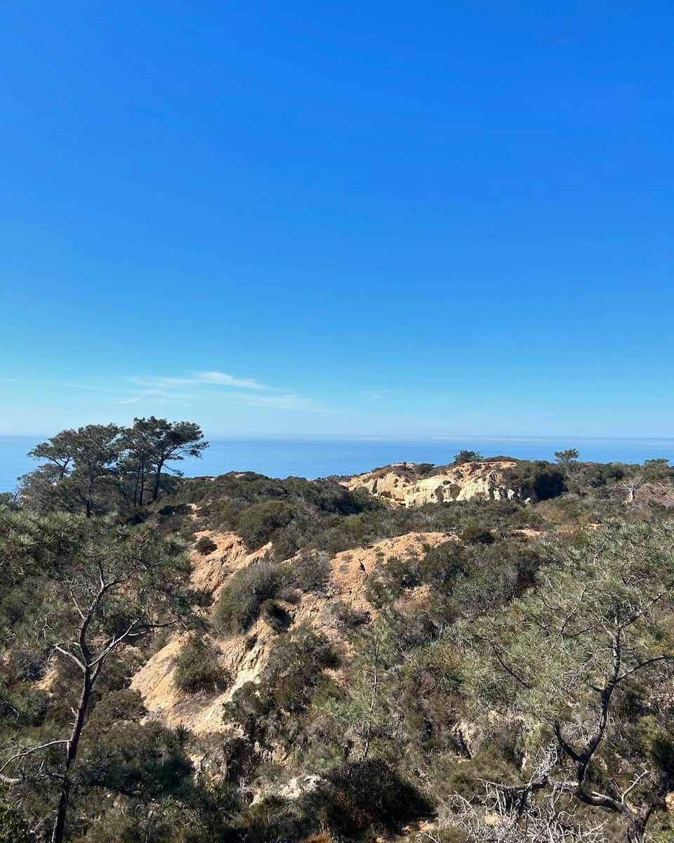 Torrey Pines, San Diego Torrey Pines, San Diego