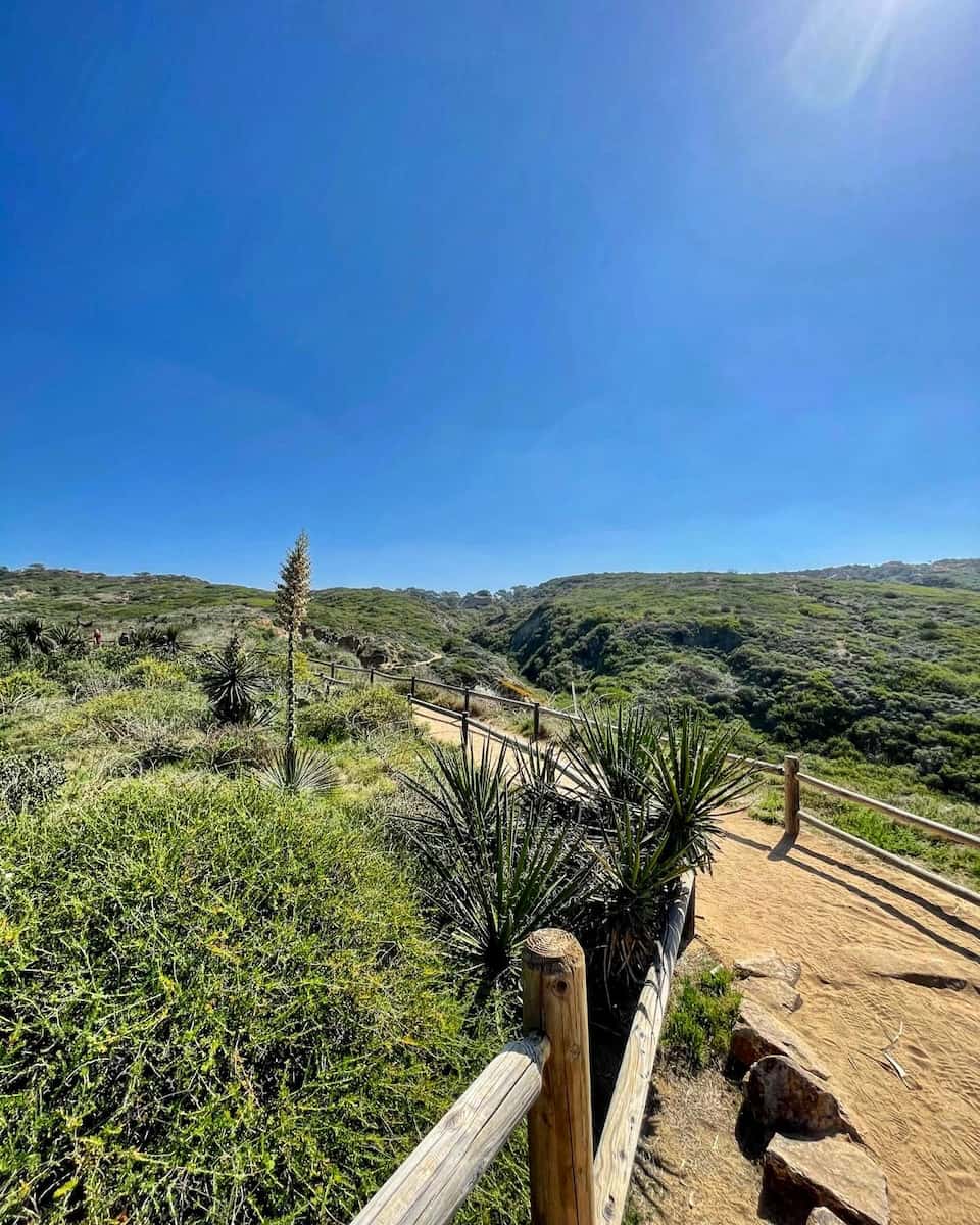 Torrey Pines, San Diego Torrey Pines, San Diego