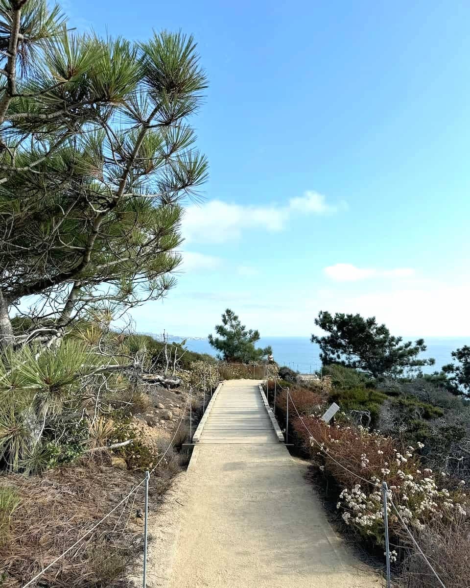 Torrey Pines State Natural Reserve, San Diego Torrey Pines State Natural Reserve, San Diego