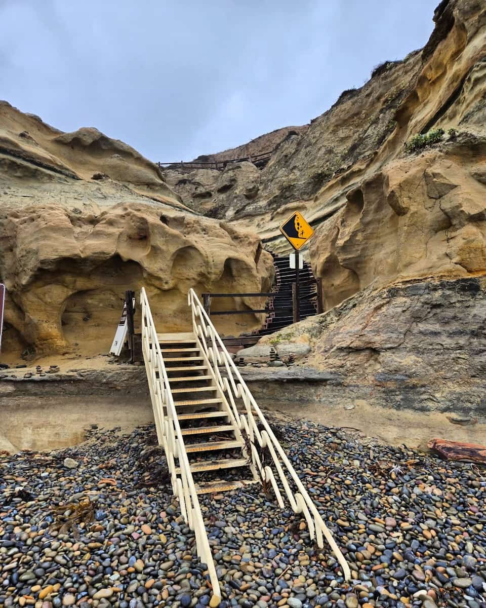 Torrey Pines State Natural Reserve, San Diego Torrey Pines State Natural Reserve, San Diego