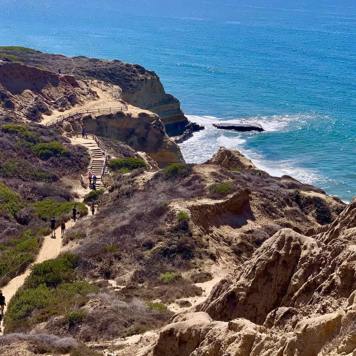 Torrey Pines State Natural Reserve, San Diego Torrey Pines State Natural Reserve, San Diego