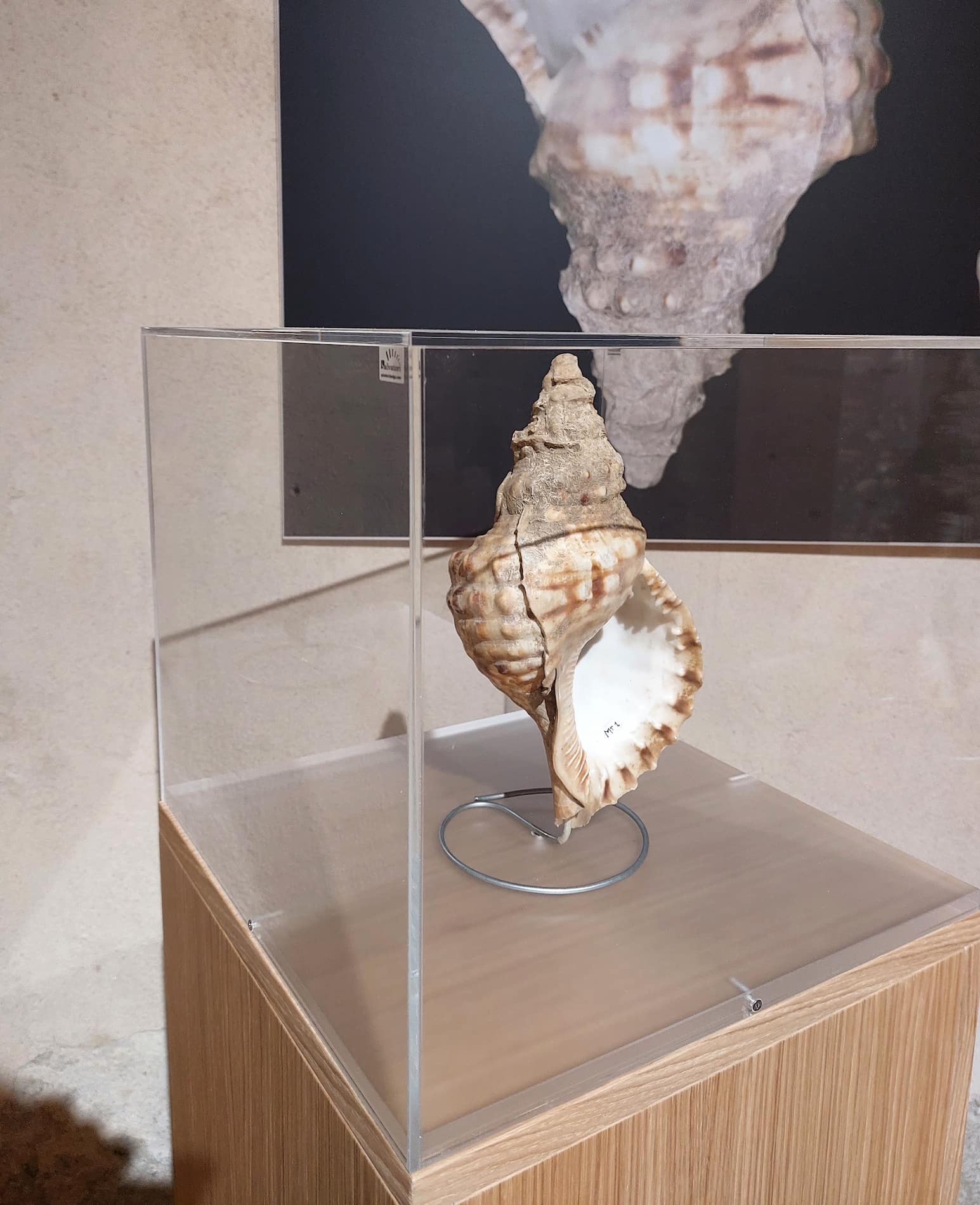 Tropea Aquarium Tropea Aquarium