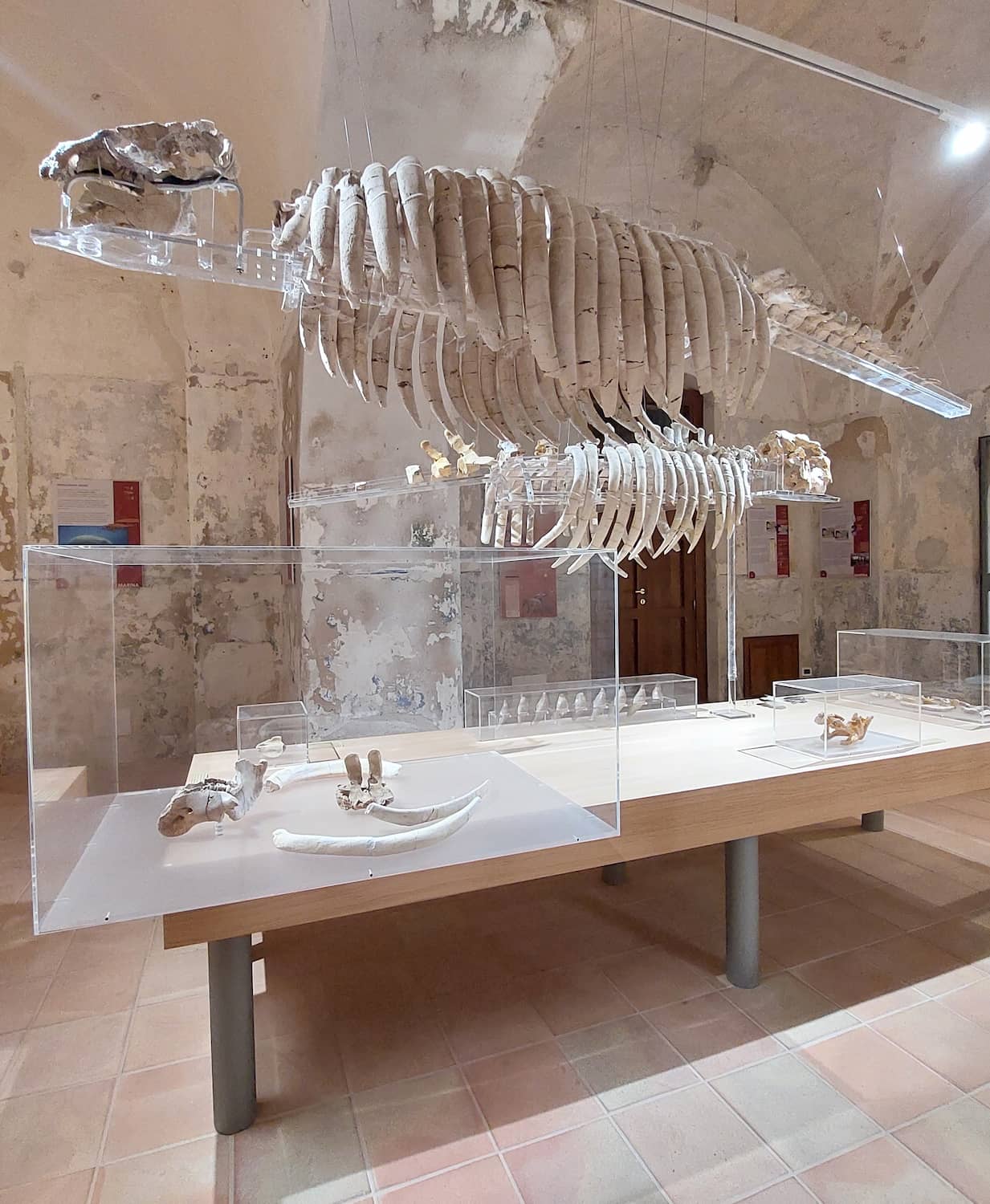 Tropea Aquarium Tropea Aquarium