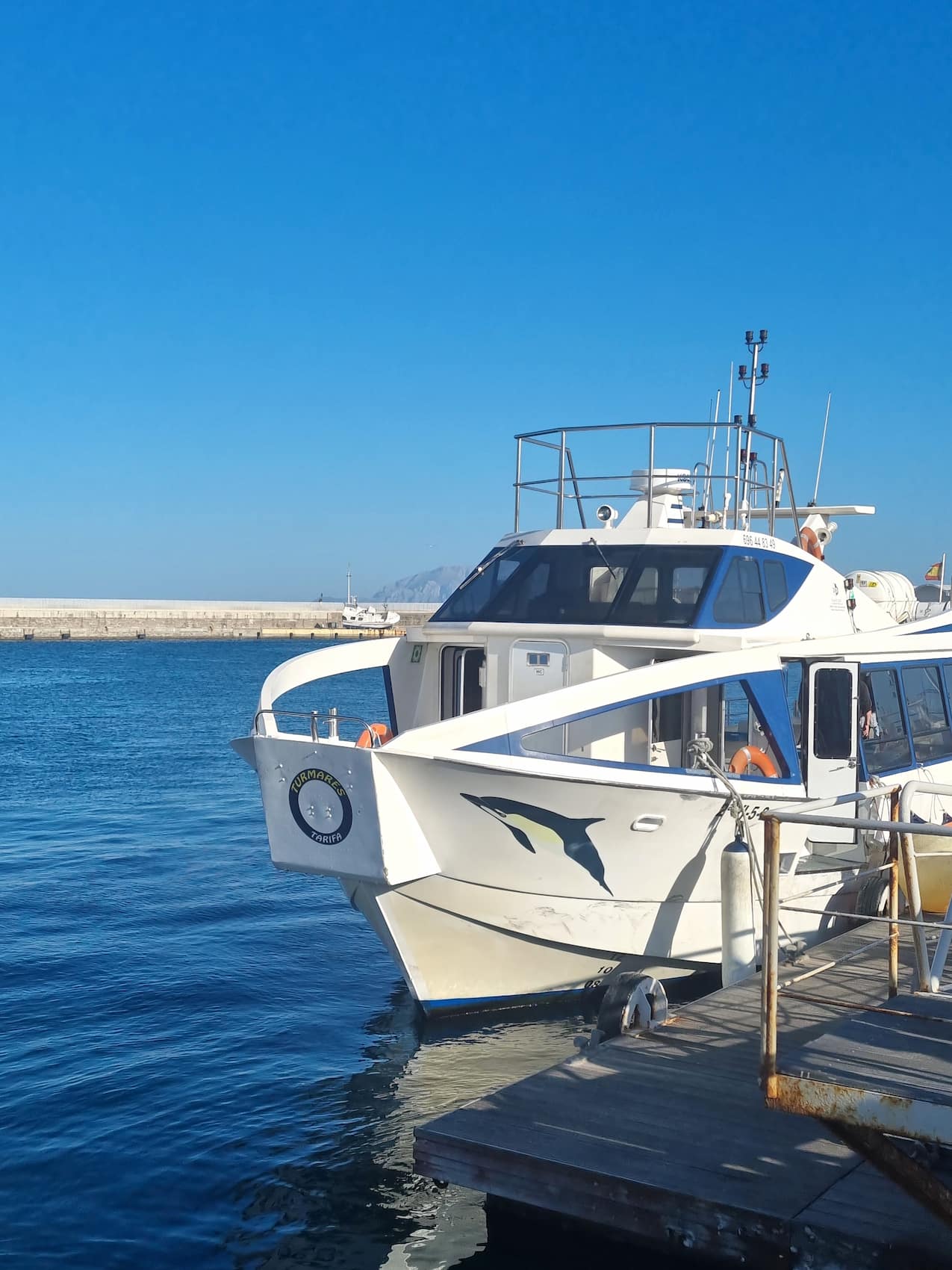 Turmares Dolphin Tarifa Turmares Dolphin Tarifa