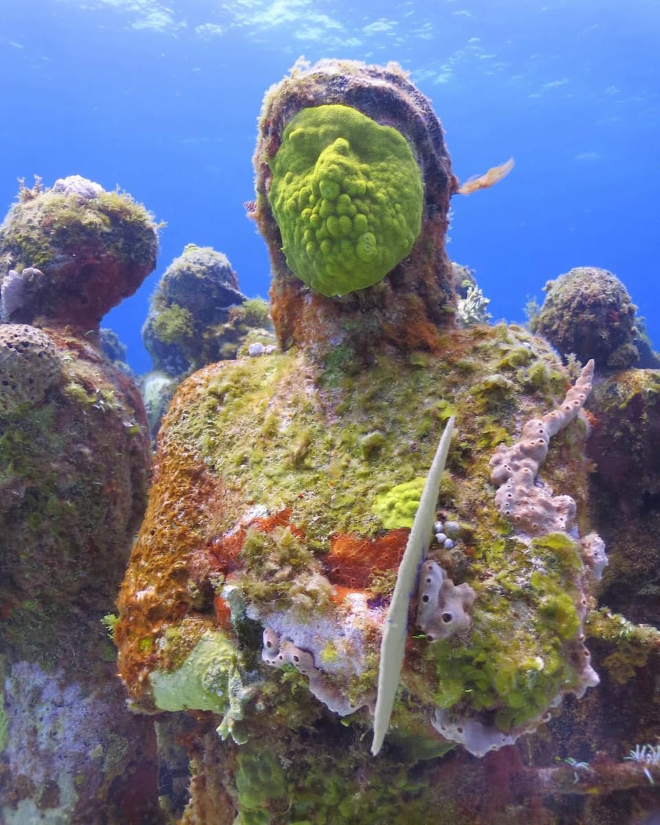 Underwater Museum of Art, FL Underwater Museum of Art, FL