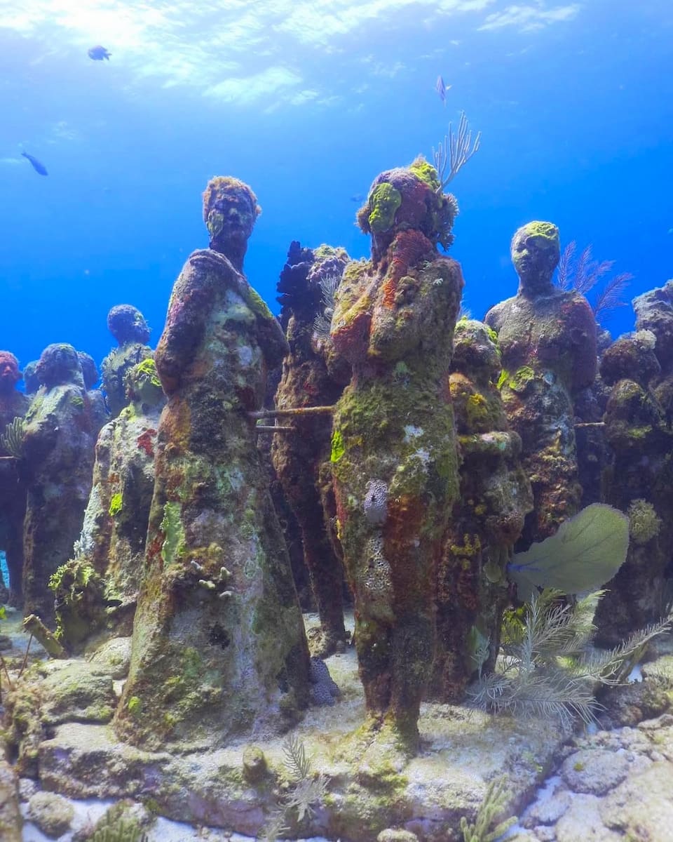 Underwater Museum of Art, FL Underwater Museum of Art, FL