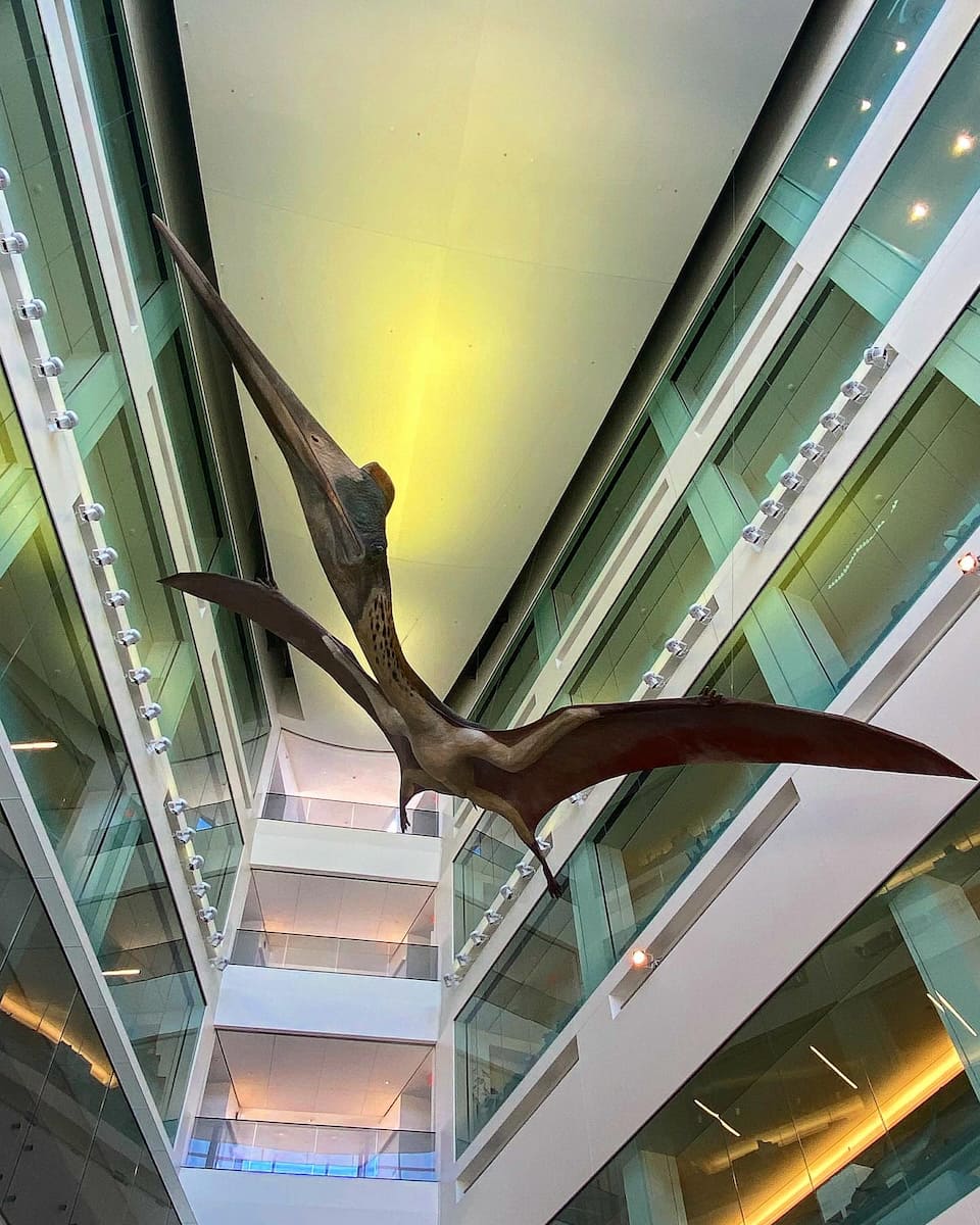 University of Michigan Museum of Natural History University of Michigan Museum of Natural History