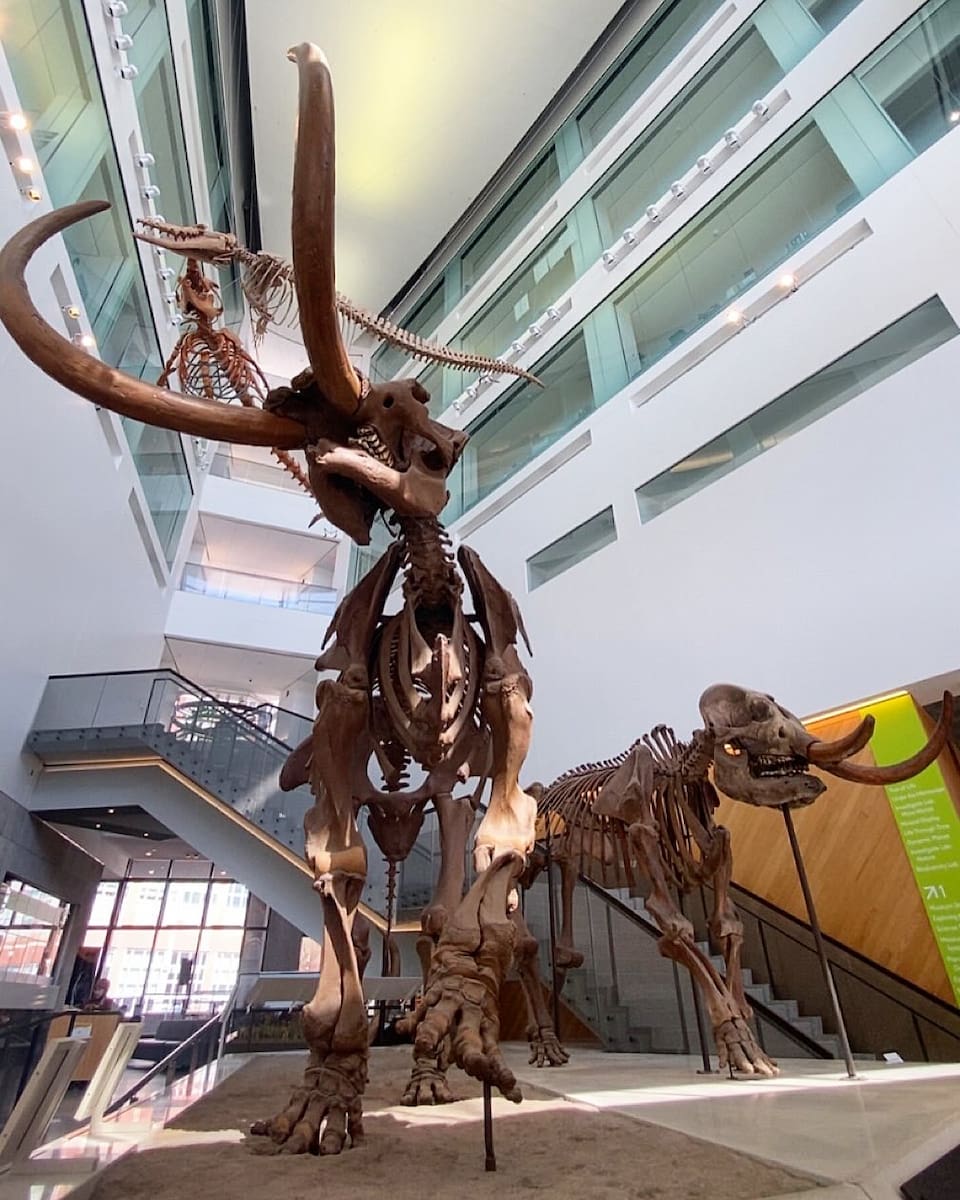 University of Michigan Museum of Natural History University of Michigan Museum of Natural History
