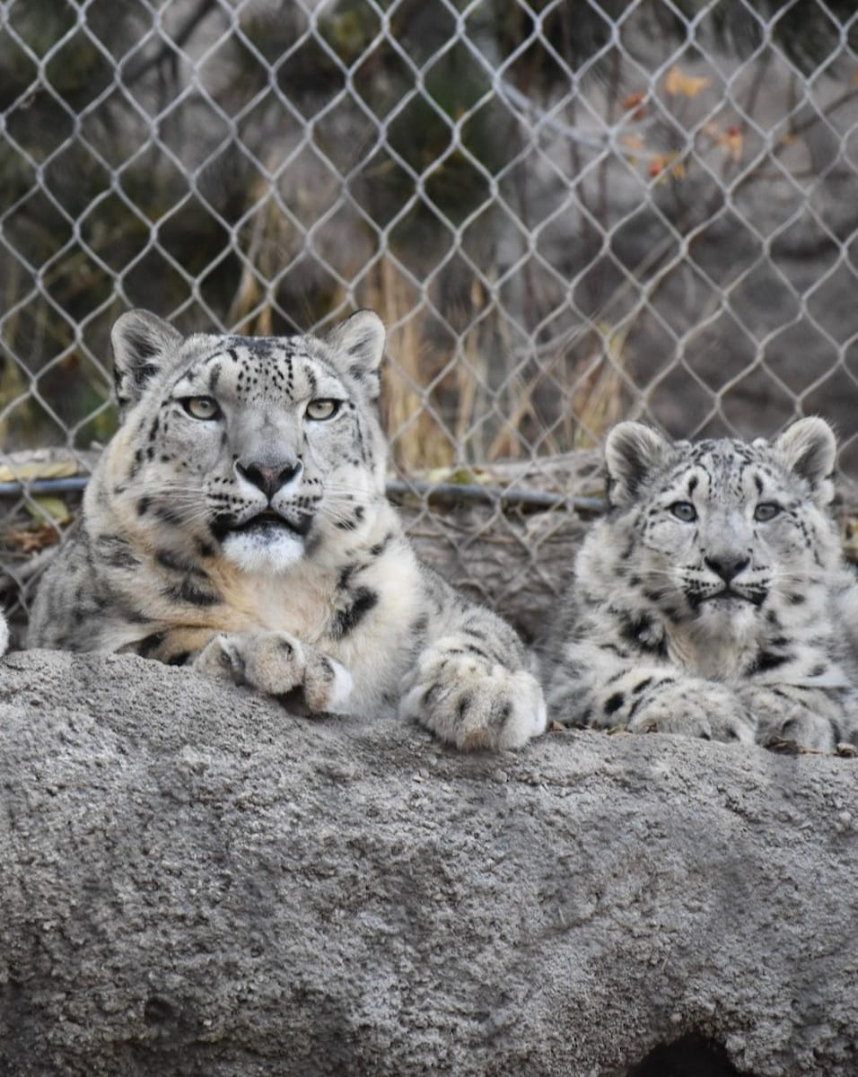 Utah's Hogle Zoo Utah's Hogle Zoo