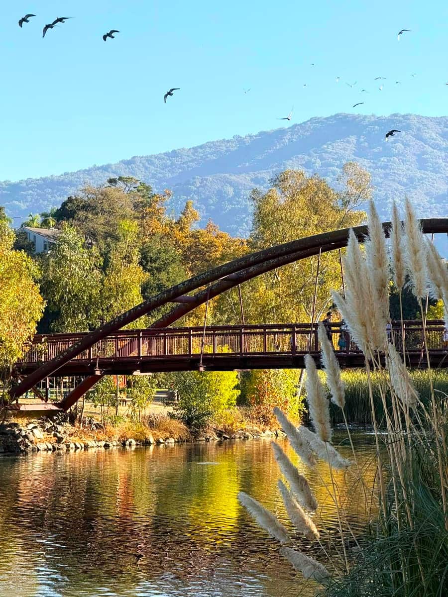 Vasona Lake County Area, San Jose, USA Vasona Lake County Area, San Jose, USA