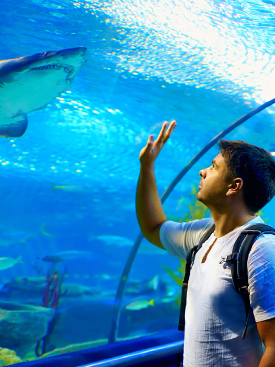 Waikiki Aquarium, Hawaii Waikiki Aquarium, Hawaii