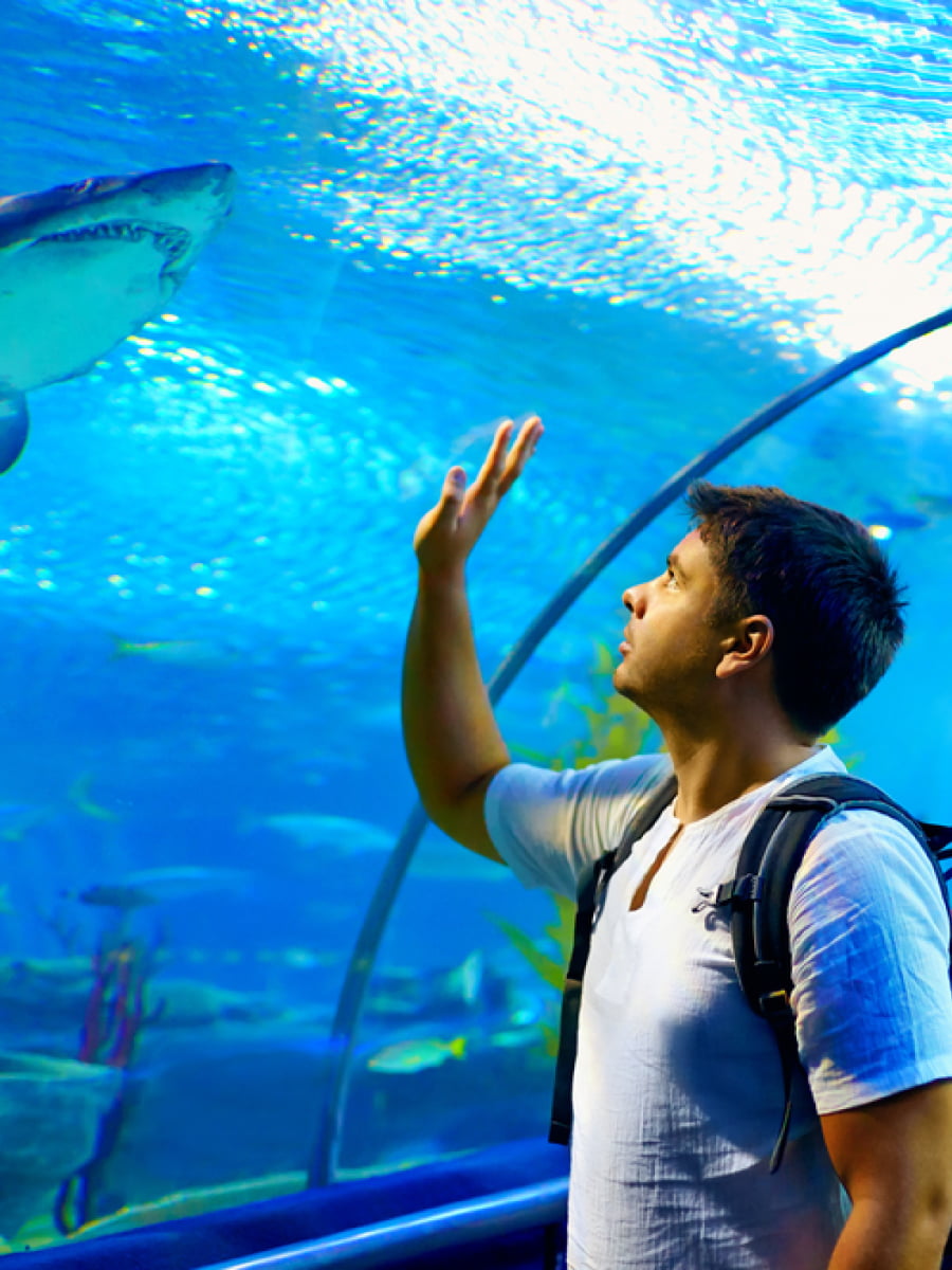 Inside of Waikiki Aquarium, Oahu, Hawaii Inside of Waikiki Aquarium, Oahu, Hawaii