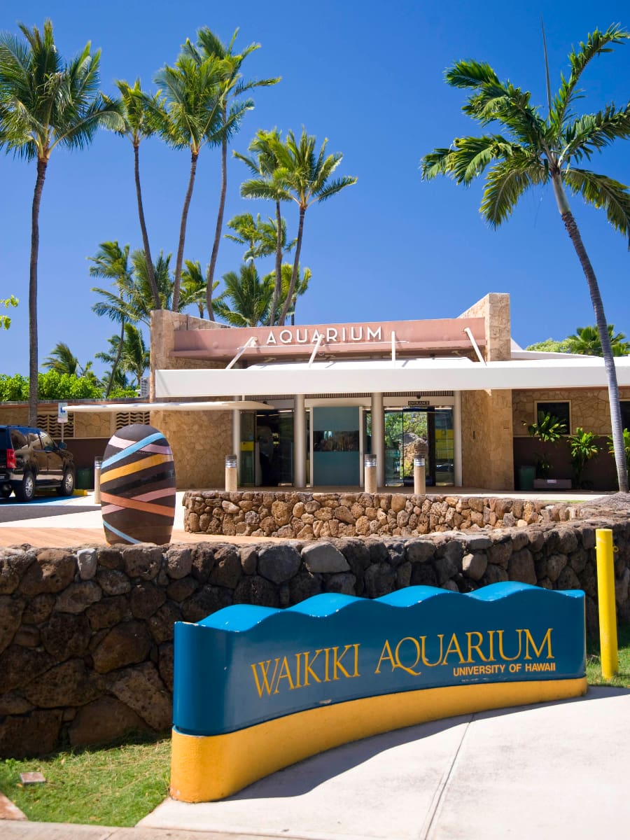 Waikiki Aquarium, Oahu, Hawaii Waikiki Aquarium, Oahu, Hawaii
