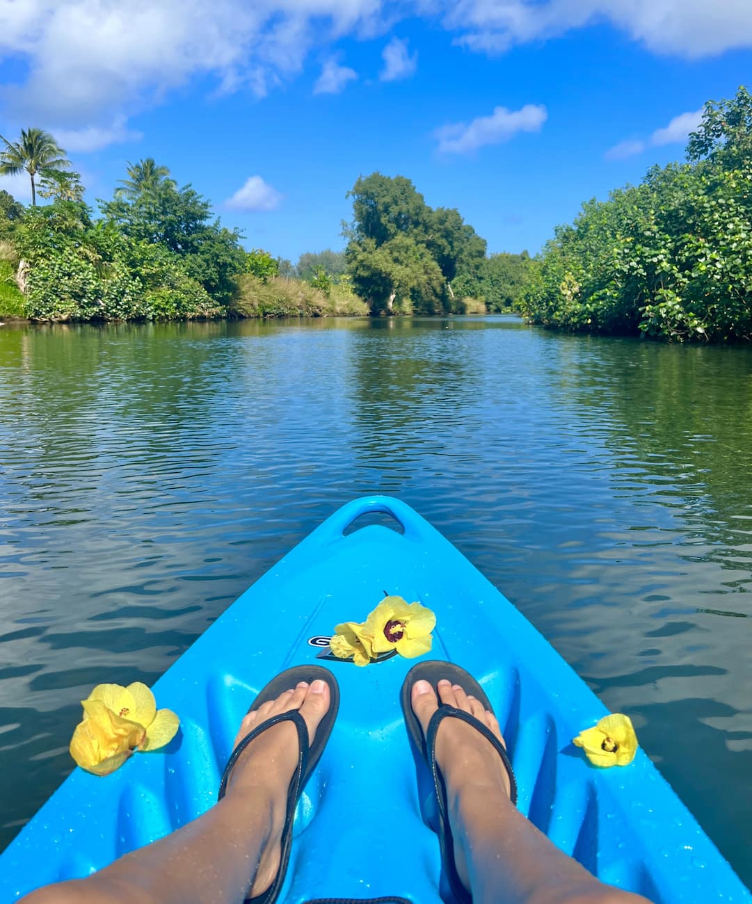 Wailua River Kayak, Kauai Wailua River Kayak, Kauai