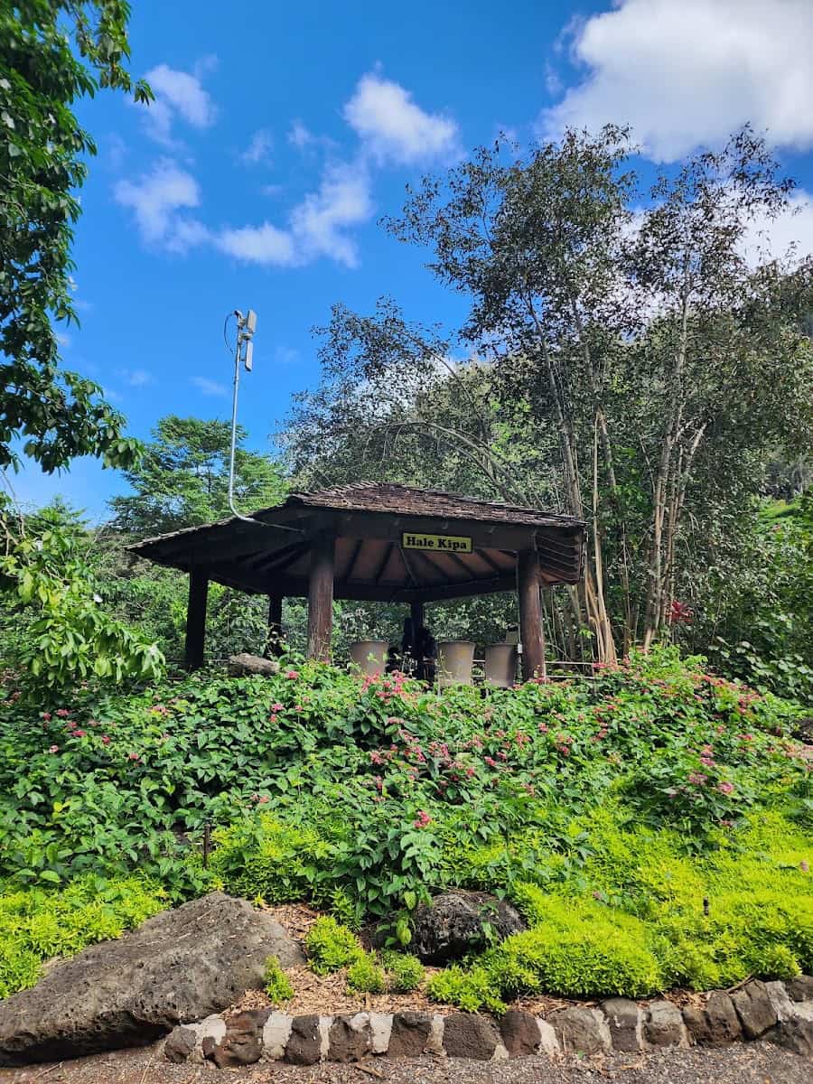 Waimea Valley, Oahu Waimea Valley, Oahu