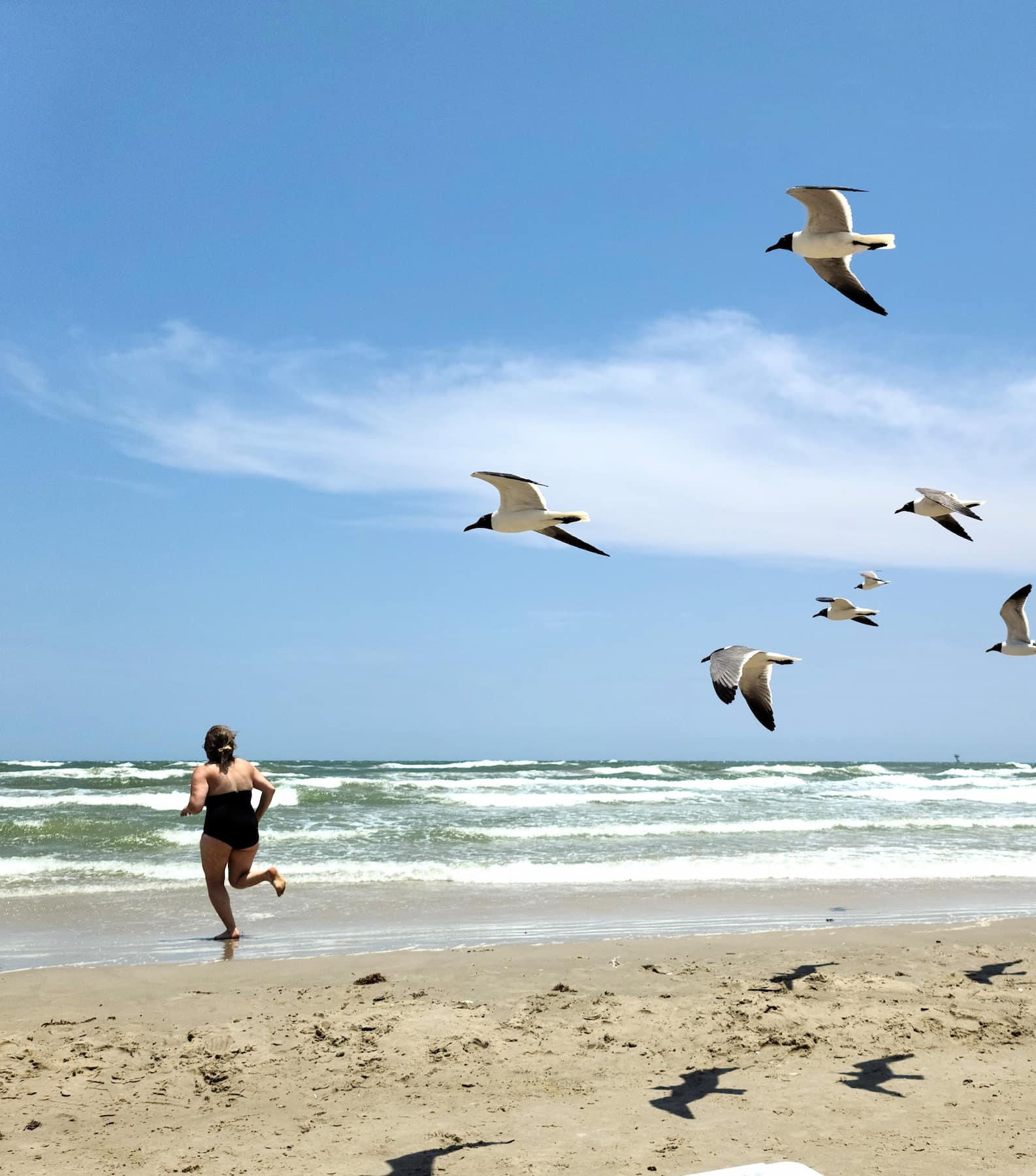 Whitecap Beach, Corpus Christi Whitecap Beach, Corpus Christi