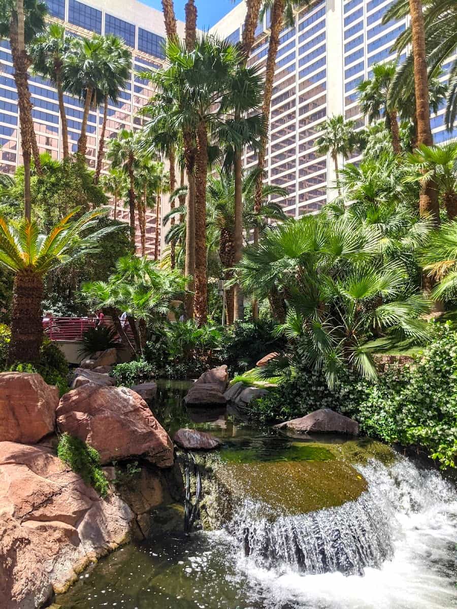 Wildlife Habitat at Flamingo, Las Vegas Wildlife Habitat at Flamingo, Las Vegas