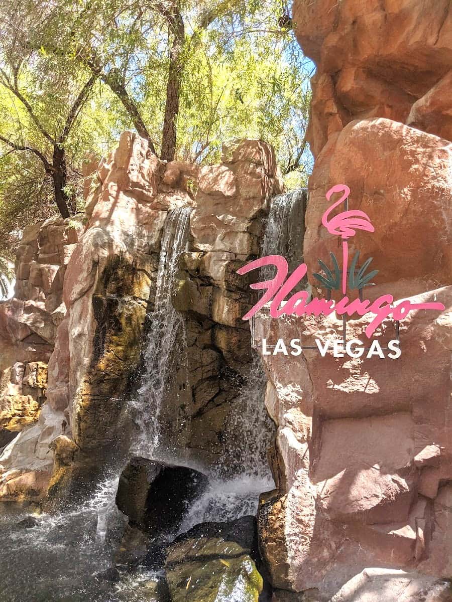 Wildlife Habitat at Flamingo, Las Vegas Wildlife Habitat at Flamingo, Las Vegas