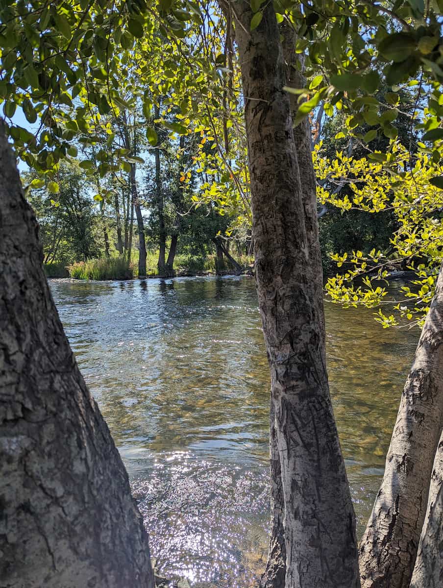 William B. Pond Recreation Area Sacramento William B. Pond Recreation Area Sacramento