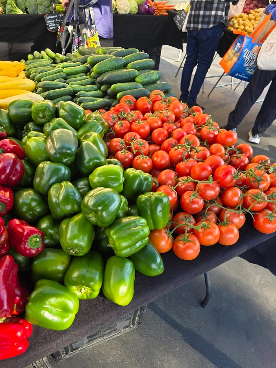 Willow Glen Farmers Market, San Jose, USA Willow Glen Farmers Market, San Jose, USA