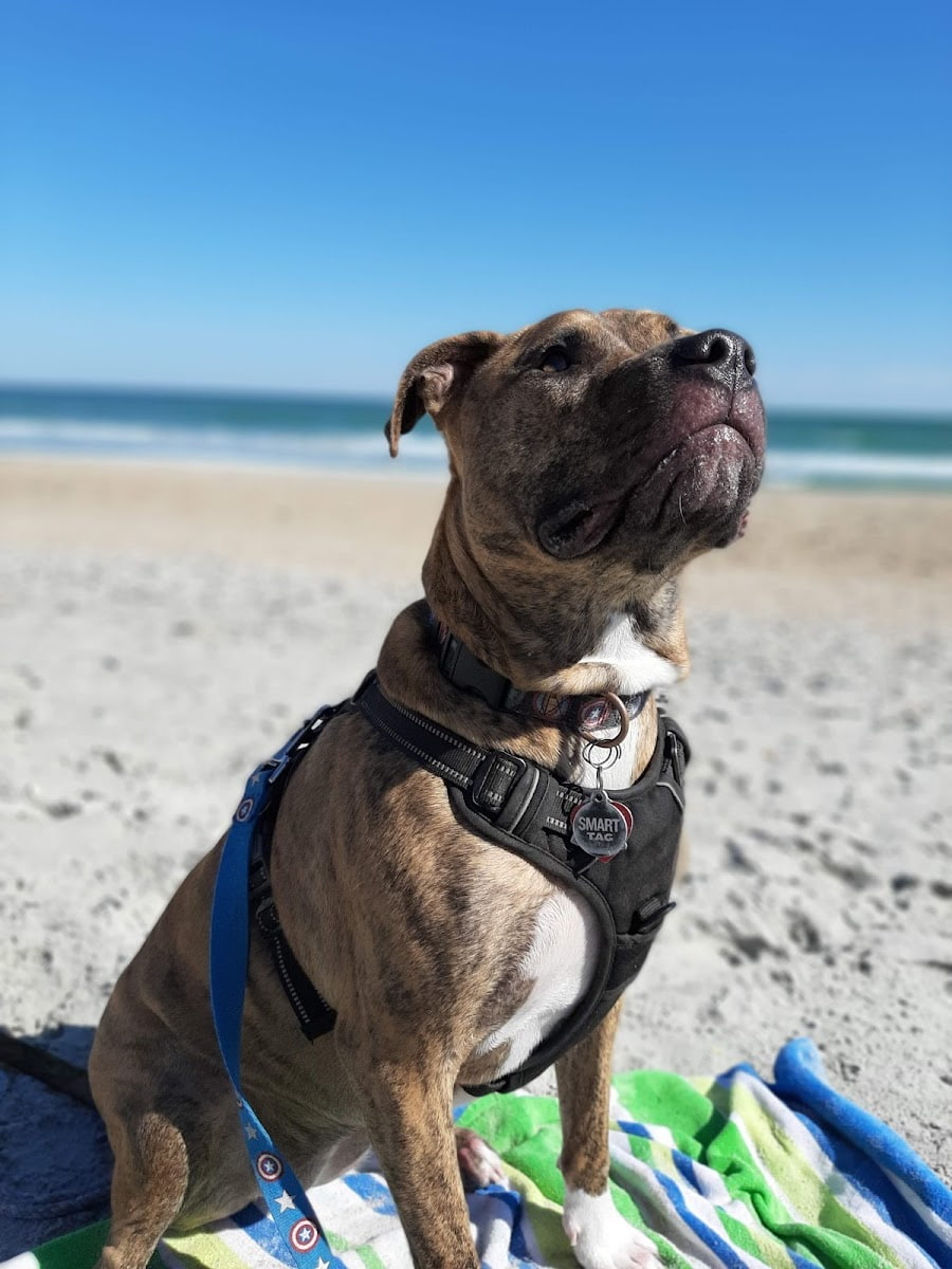 Wrightsville Beach, Wilmington Wrightsville Beach, Wilmington