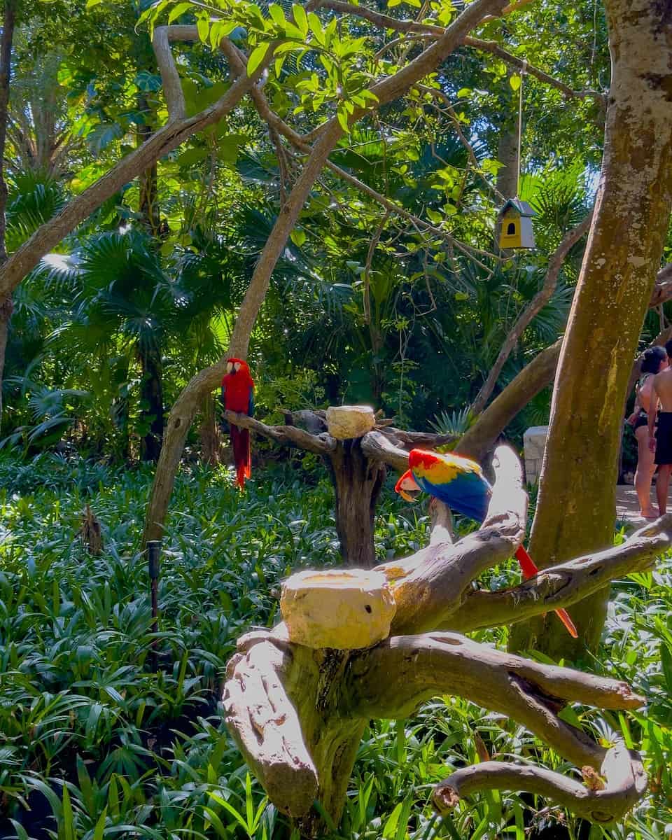 Xel-Há Park, Cancun