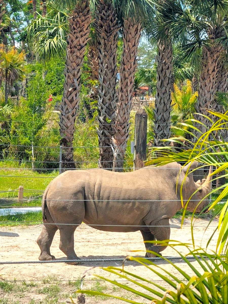ZooTampa at Lowry Park, Tampa, Florida ZooTampa at Lowry Park, Tampa, Florida
