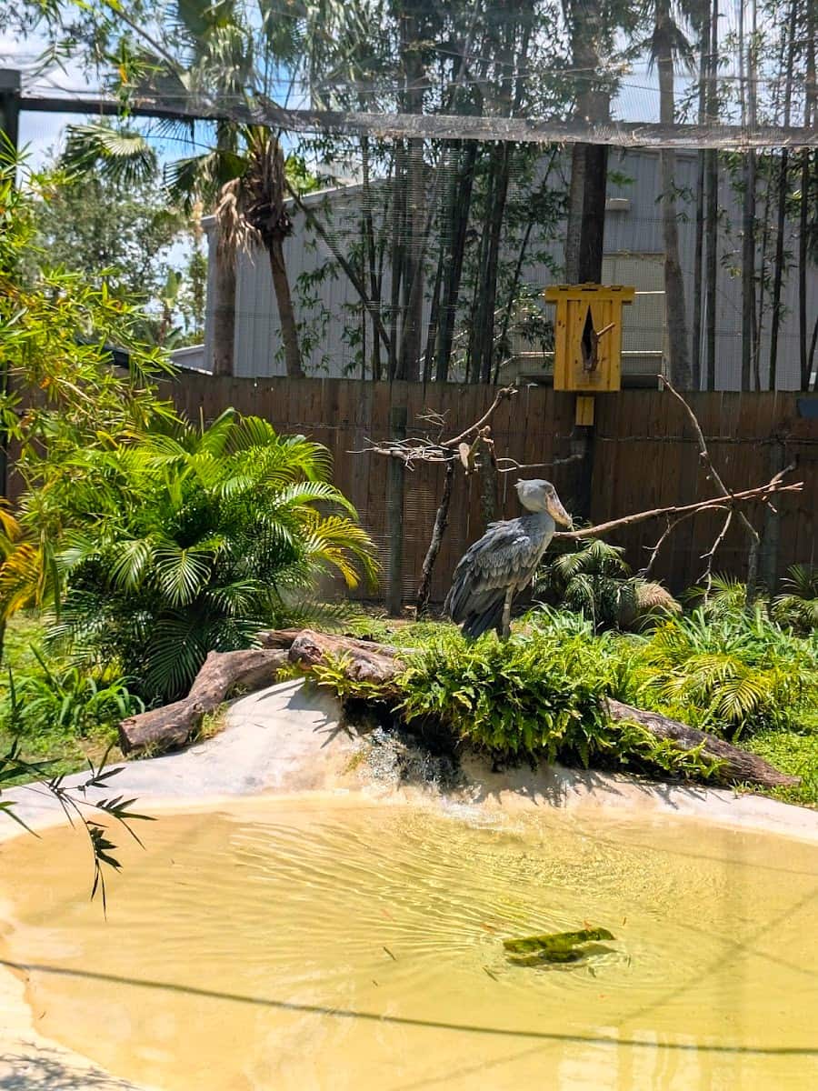 ZooTampa at Lowry Park, Tampa, Florida ZooTampa at Lowry Park, Tampa, Florida