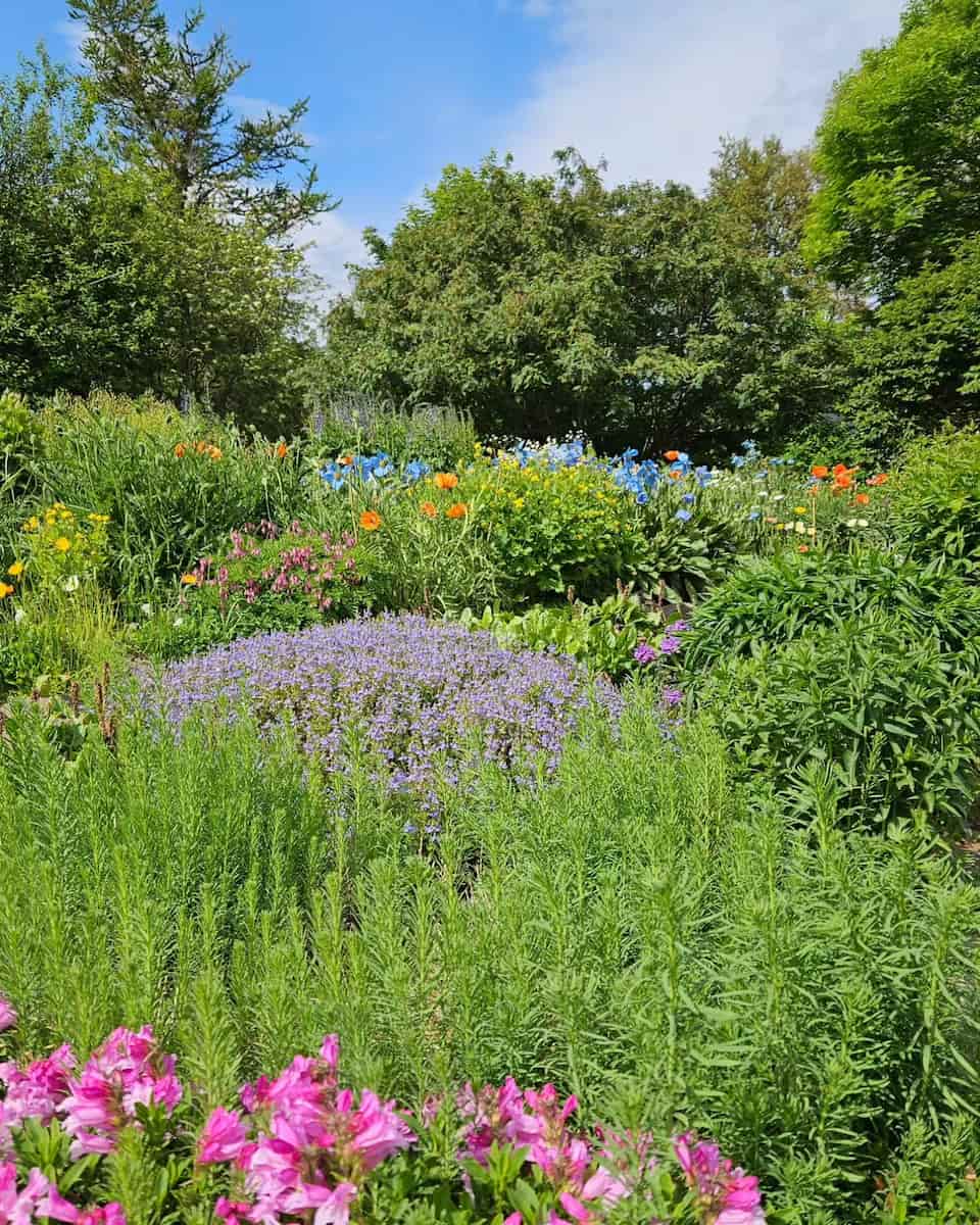 Akureyri Botanical Garden, Iceland Akureyri Botanical Garden, Iceland