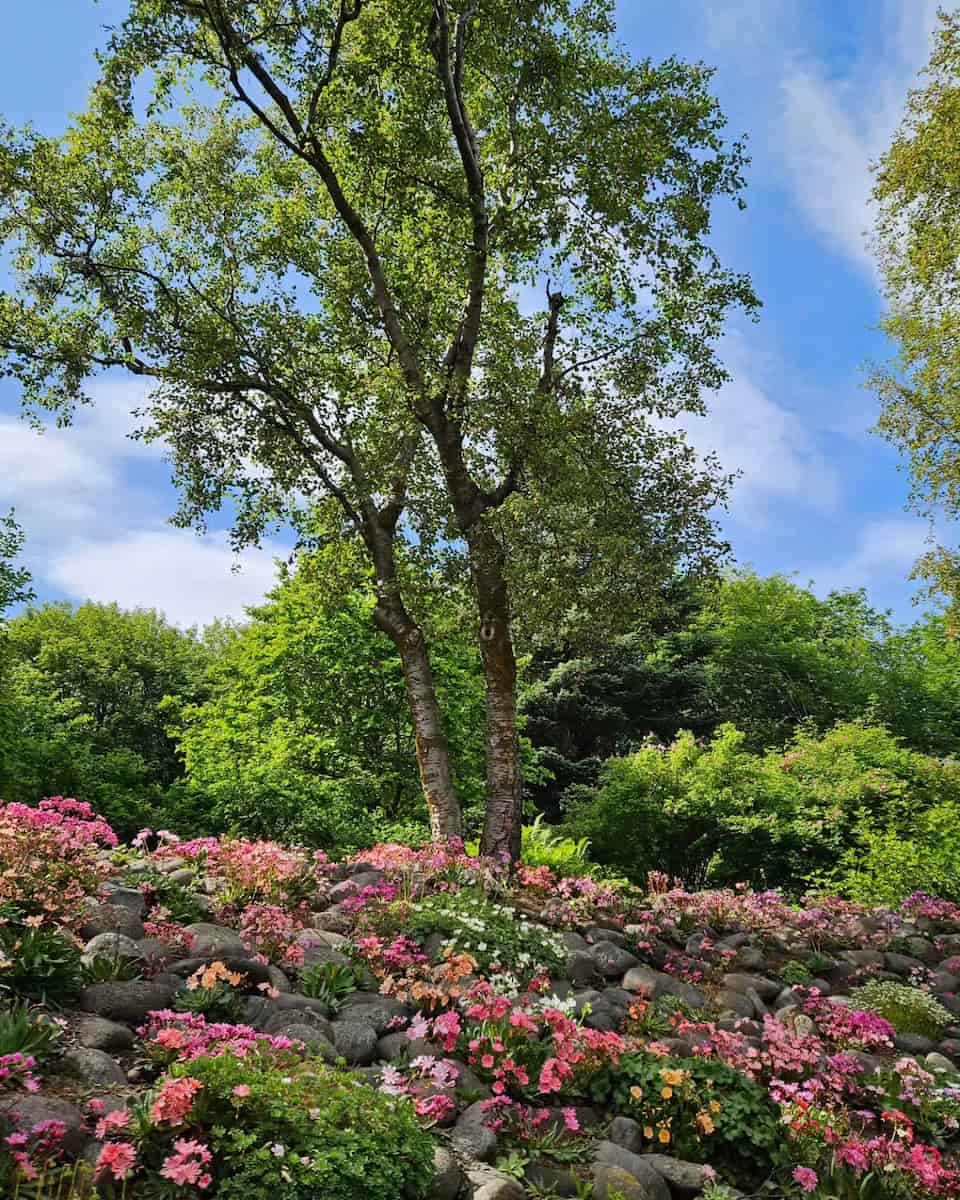 Akureyri Botanical Garden, Iceland Akureyri Botanical Garden, Iceland