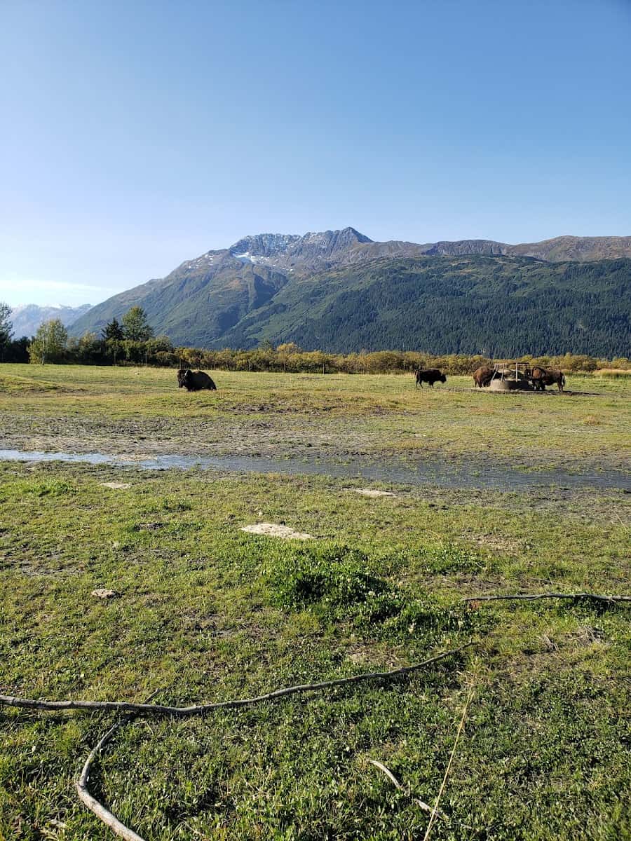 Alaska Wildlife Conservation Center, Anchorage Alaska Wildlife Conservation Center, Anchorage